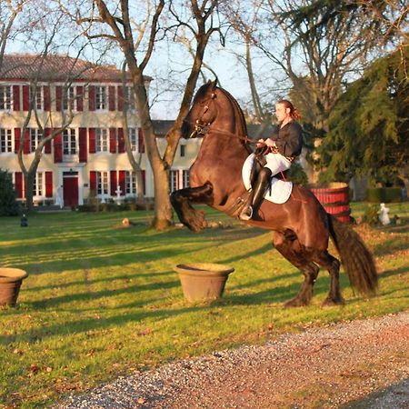 Le Relais Du Silence Chateau Lavail Labastide-dʼAnjou 외부 사진