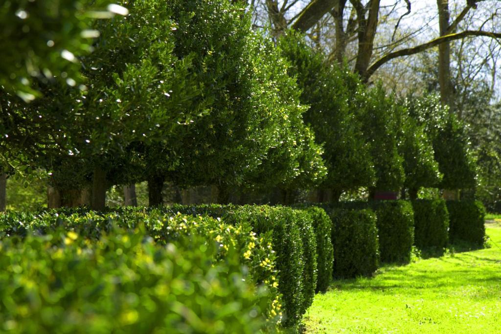 Le Relais Du Silence Chateau Lavail Labastide-dʼAnjou 외부 사진